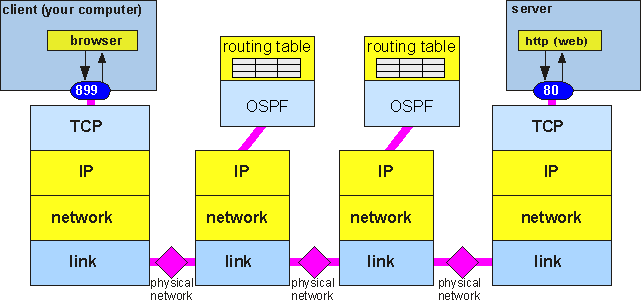 TCPnOSPF