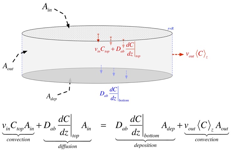 find_d_from_species_cons_setup1